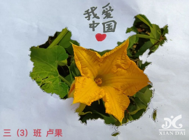 1663915127436084.png 1663915127436084.png