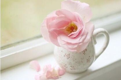 1579232580315172.jpg 20148714318329.jpg